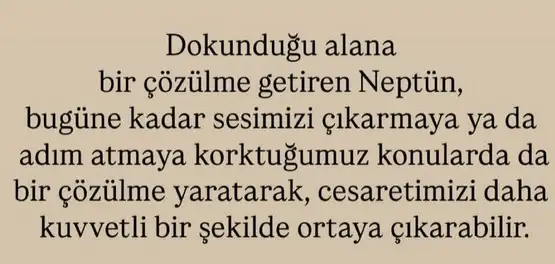neptün koç11 (8).webp