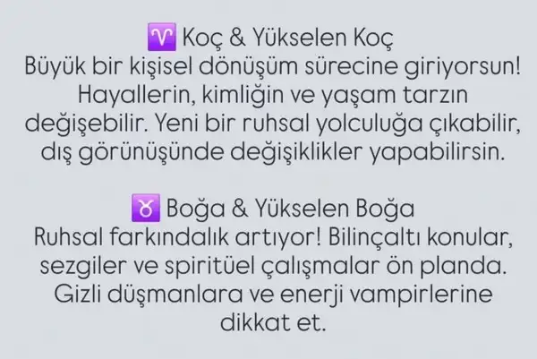 neptün koç2 (2).webp
