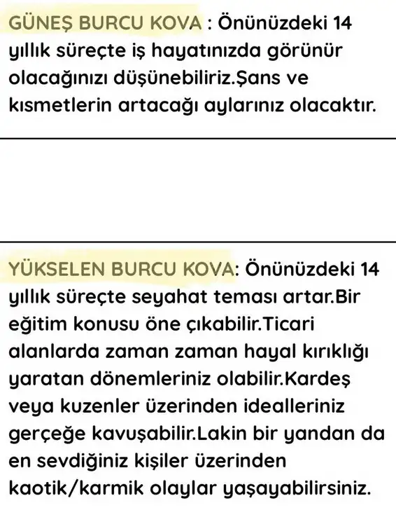 neptün koç3 (12).webp