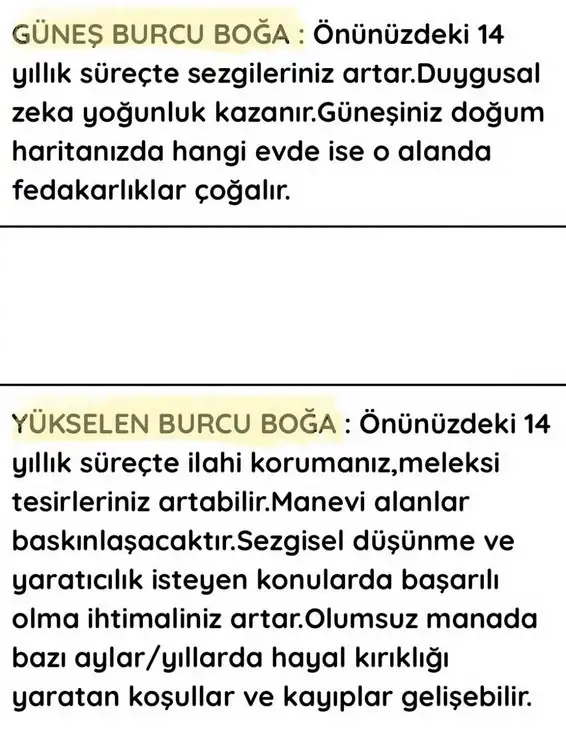 neptün koç3 (3).webp