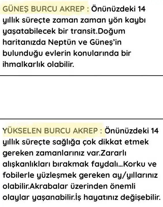 neptün koç3 (9).webp