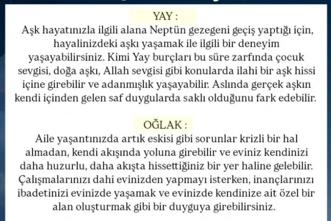 neptün koç31 (3) - Kopya.webp