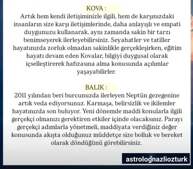 neptün koç31 (3).webp