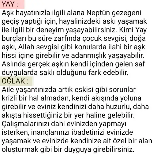 neptün koç33 (4) - Kopya.webp