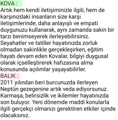 neptün koç33 (4).webp