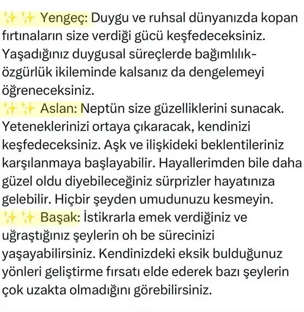 neptün koç35 (2).webp