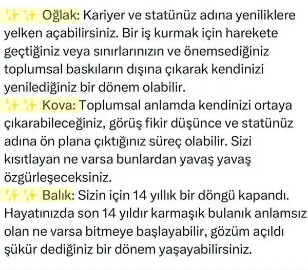 neptün koç35 (4).webp