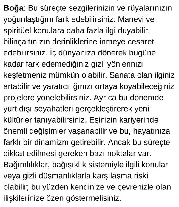 neptün koç4 (3).webp