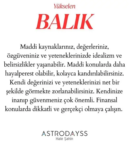neptün koç6 (13).webp