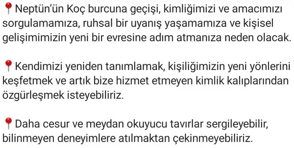 neptün koç6 (14).webp