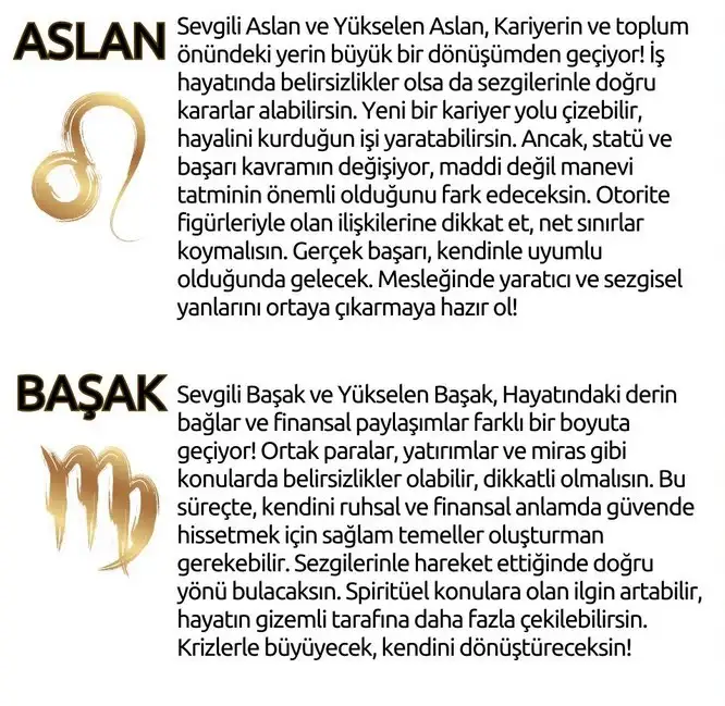 neptün koç6 (17).webp