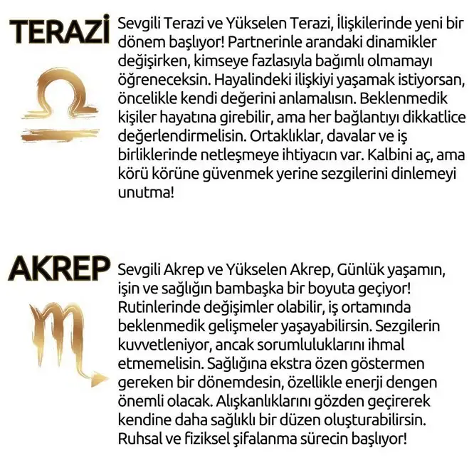 neptün koç6 (18).webp