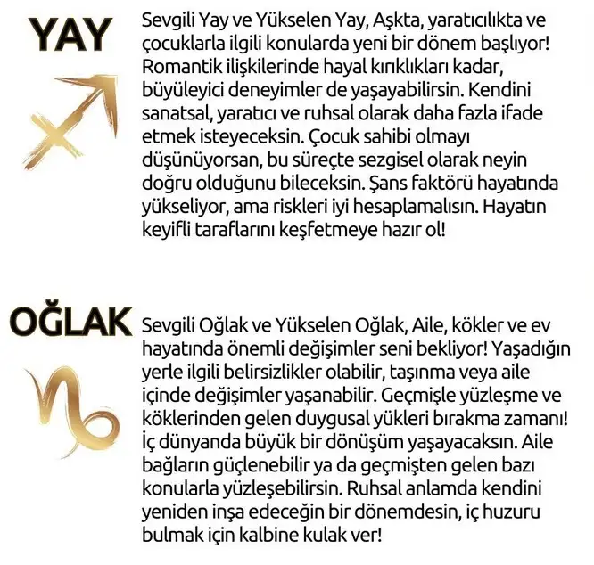neptün koç6 (19).webp