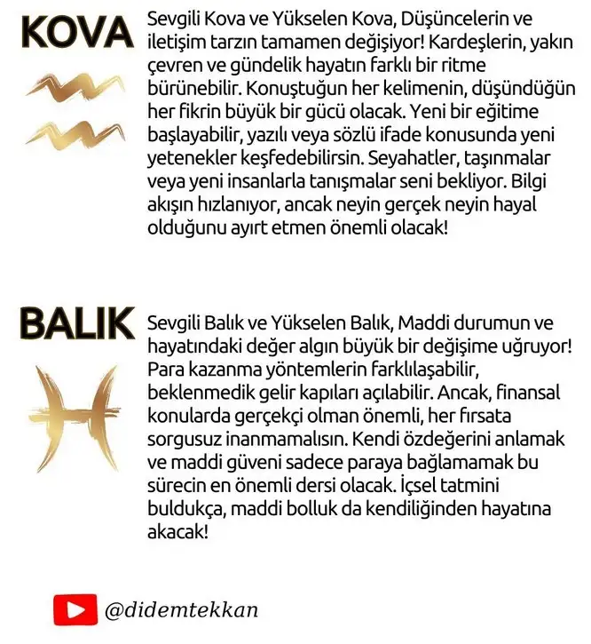 neptün koç6 (20).webp
