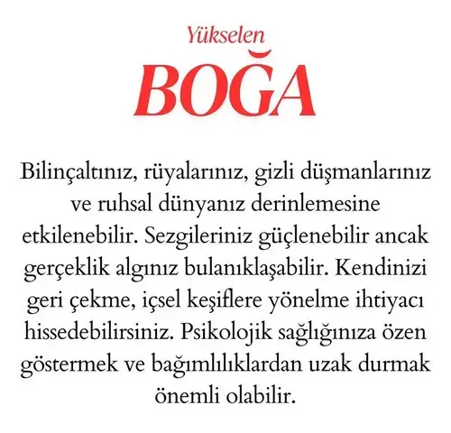 neptün koç6 (3).webp
