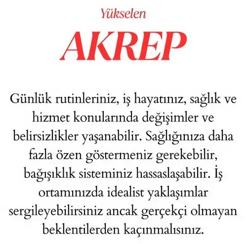 neptün koç6 (9).webp