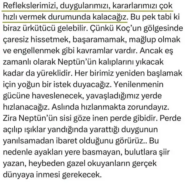 neptün koç8 (3).webp