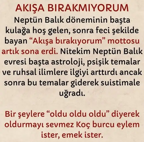 neptün koç9 (4).webp