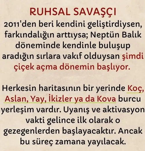 neptün koç9 (6).webp