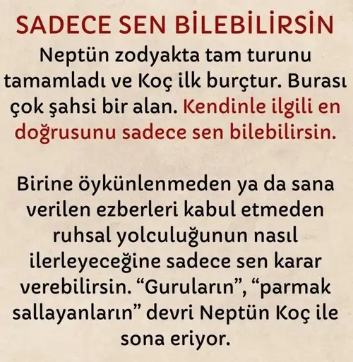 neptün koç9 (7).webp