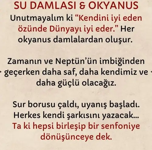 neptün koç9 (8).webp