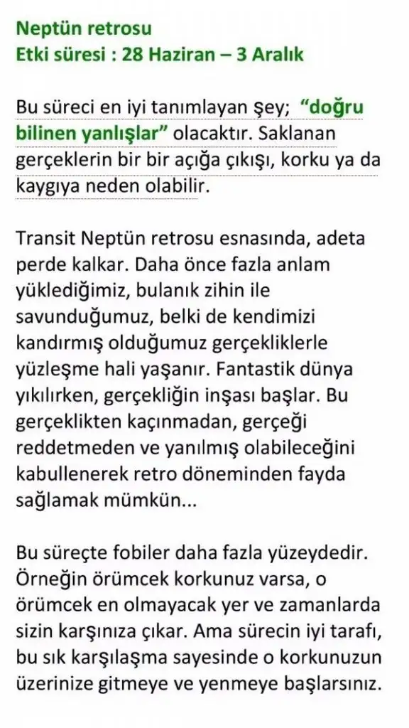 neptün retro (1).webp