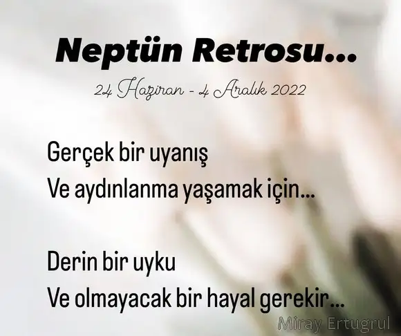 neptün retro (1).webp
