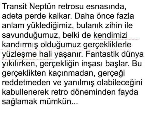 neptün retro1 (4).webp