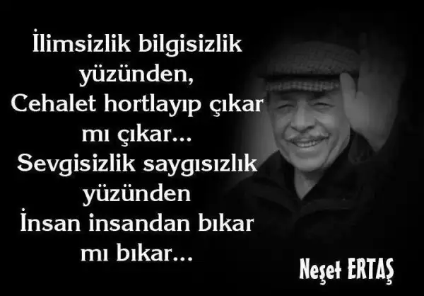 neset-ertas_520926.webp
