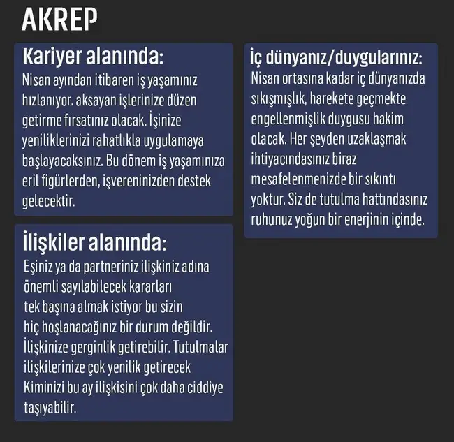 nisan aylık yorum1 (9).webp