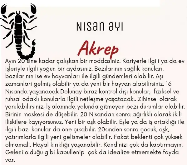 nisan aylık yorum8 (9).webp
