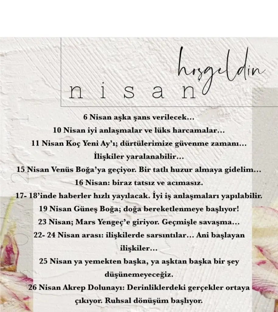 nisan.webp