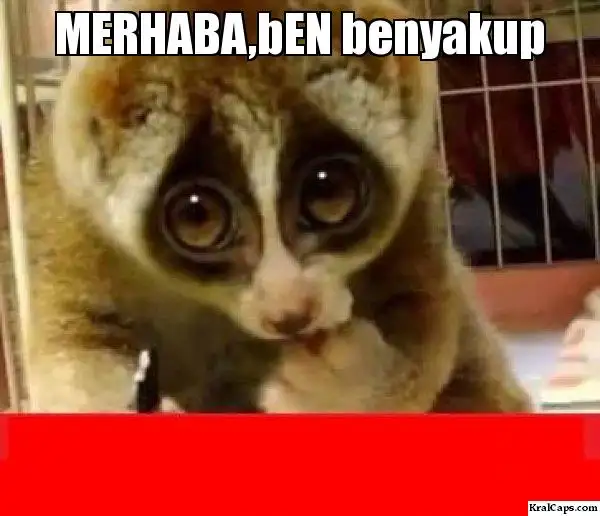nlvlrl.webp