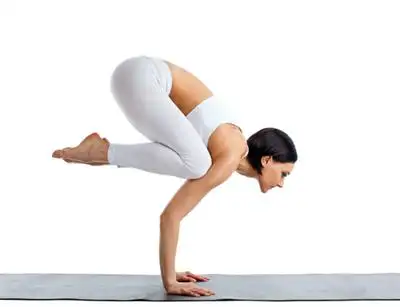 nocanvas_viniyoga-rc1a9.webp
