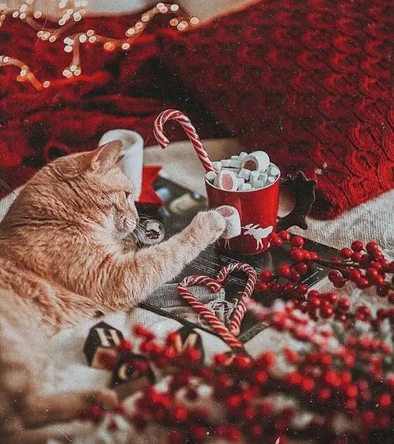 noel1e.webp