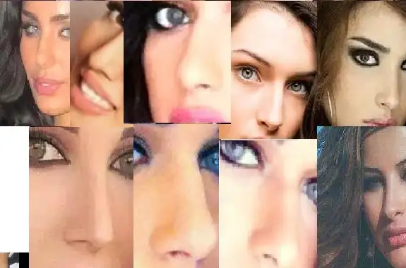 nose_.webp
