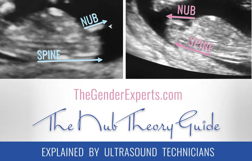Nub-Theory-Page-No.1_d63ad122-a078-4c94-96bd-bb6aa73472d4.webp