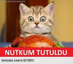 NUTKUM TUTULDU.webp