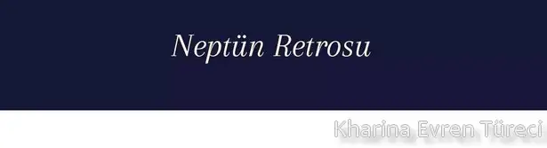 nwpt8 (1).webp