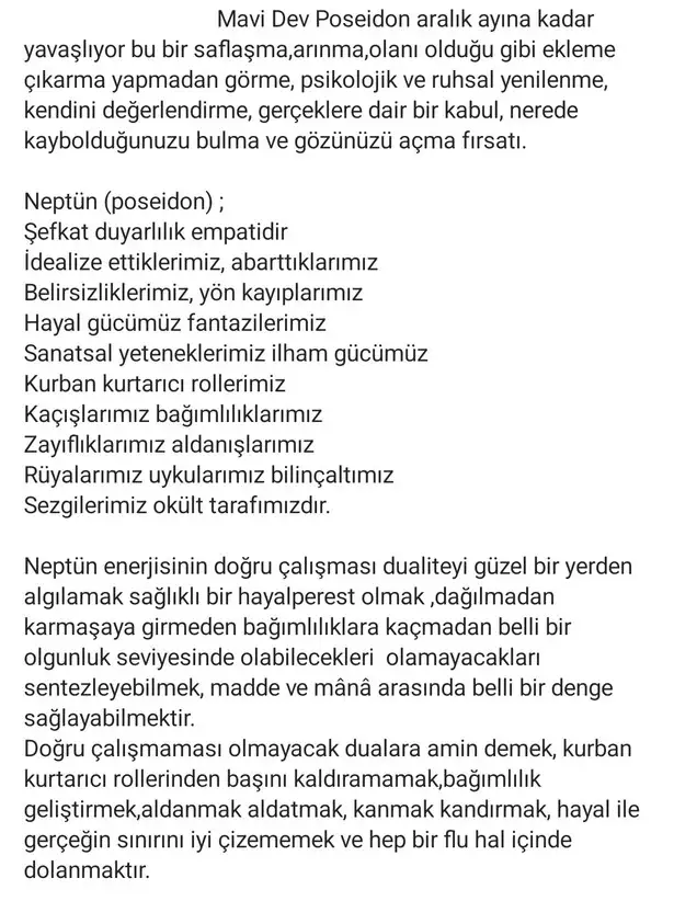 nwpt8 (2).webp