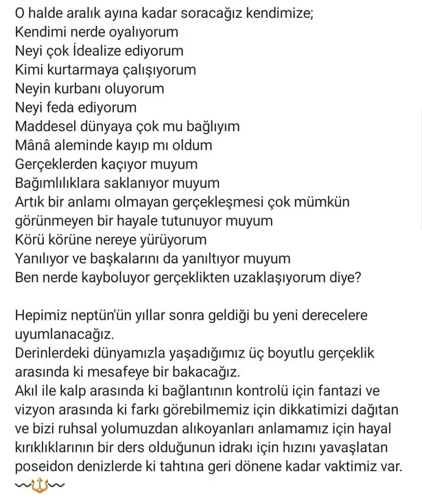 nwpt8 (3).webp