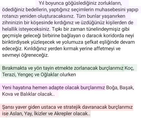 o y 1 (3).webp