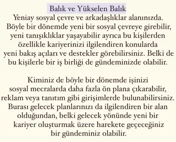 o1 (13).webp