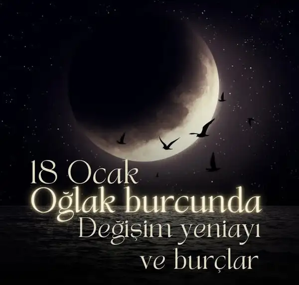 o11 (1).webp