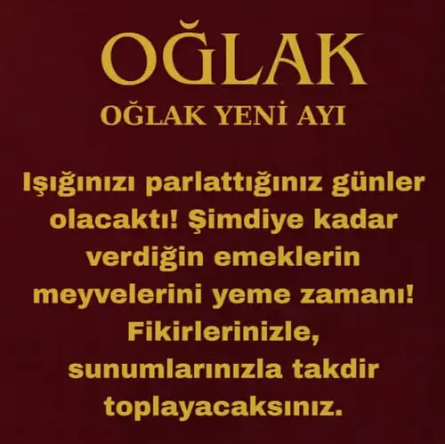 o11 (10).webp