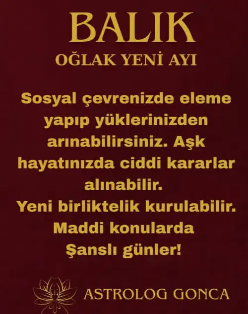 o11 (12).webp