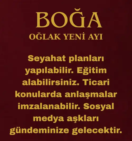 o11 (2).webp