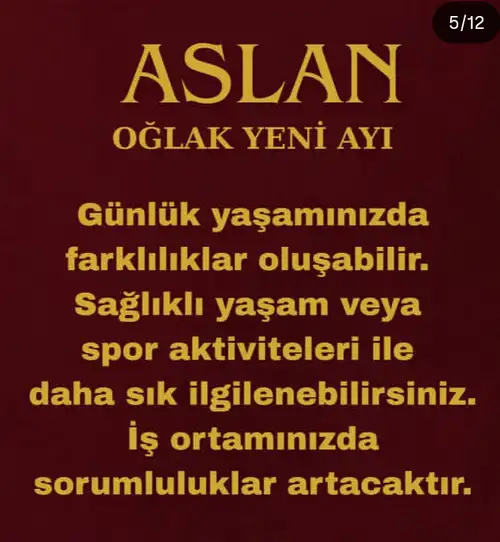 o11 (5).webp