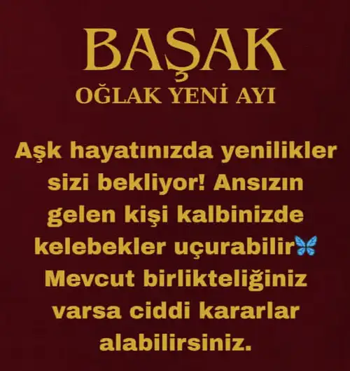 o11 (6).webp