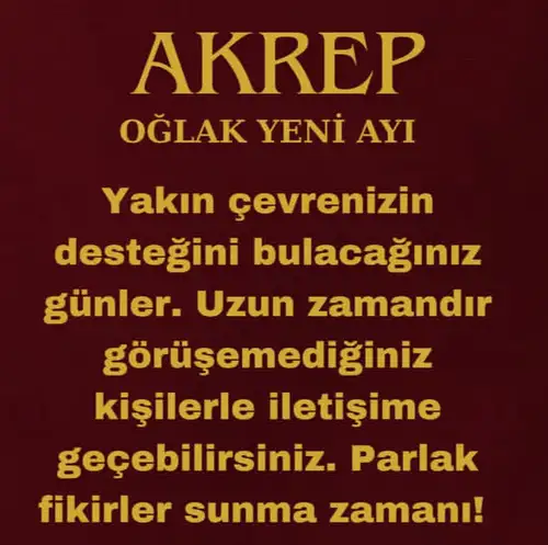 o11 (8).webp